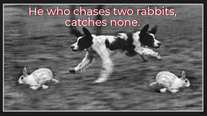 He Who Chases Two Rabbits - KidMinScience